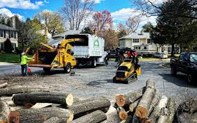 Reliable Desert Aire, WA Tree Services Solutions