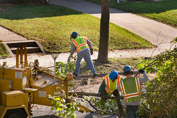 Best Tree Risk Assessment  in Desert Aire, WA